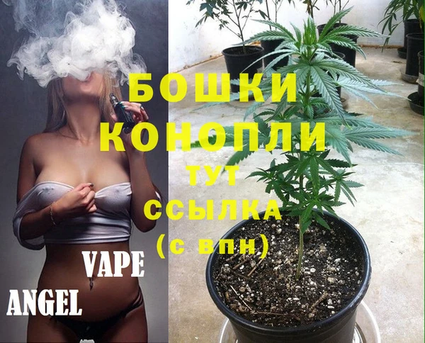 МДПВ Козельск