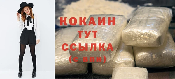 гидра Корсаков