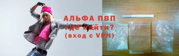 гидра Корсаков