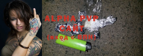 гидра Корсаков