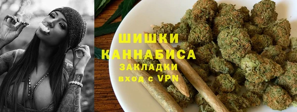гидра Корсаков