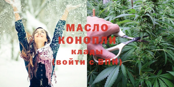 гидра Корсаков