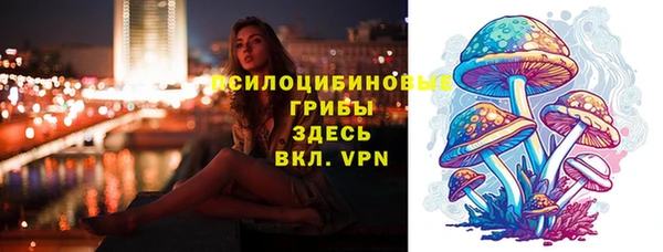 гидра Корсаков